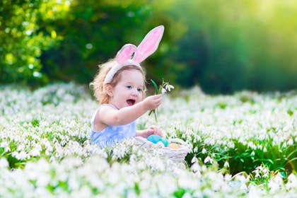 Toddler in field of flowers with basket of Easter eggs and bunny ears