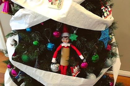 Elf on the Shelf hiding in the Christmas tree he's wrapped in toilet roll!
