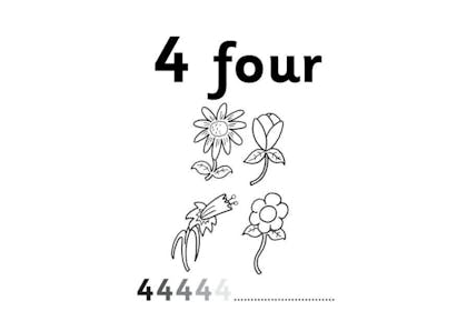 Four flowers