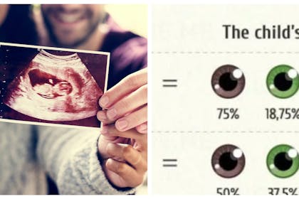 will baby look like you or your partner chart