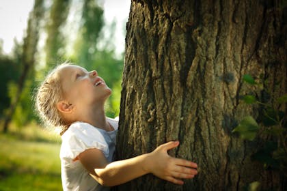 little girl holding onto a tree trunk