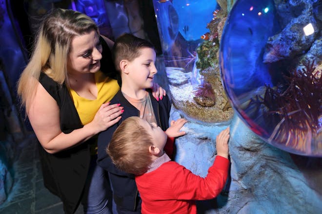 A mum and her two boys looking into at clown fish at SEA LIFE Blackpool