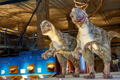 Dinosaurs in museum