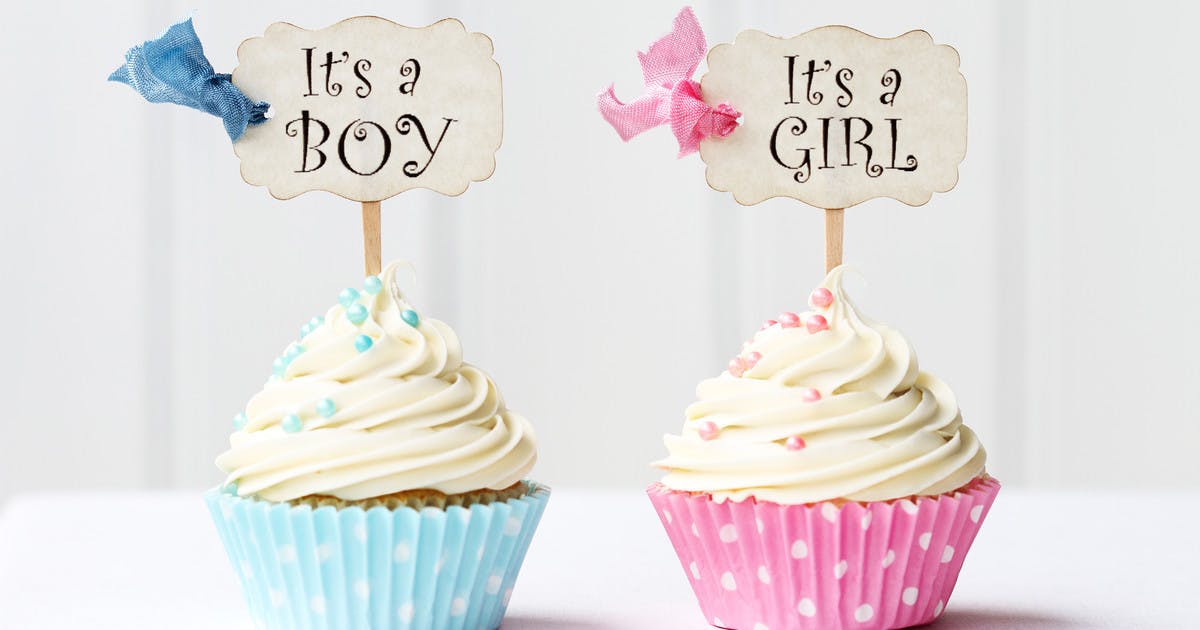Is That A Boy Or A Girl? You Need To Learn How To Tell Gender Of Kitten Pictures Now! - yxb3ior