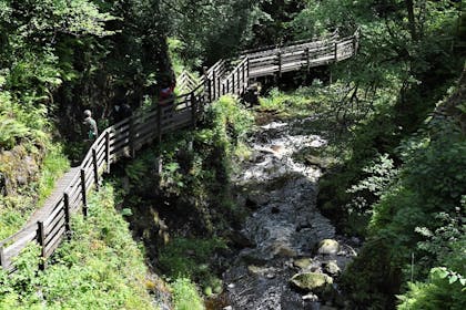 Glenariff Forest Park, County Antrim