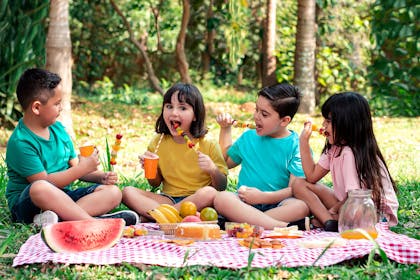 Four kids having a picnic