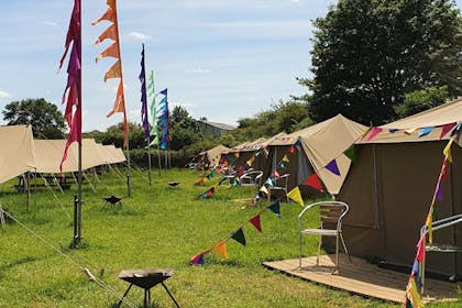 A row of tents and colourful flags at Avon Valley Adventure & Wildlife Park