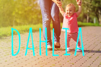 Dahlia baby name