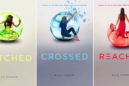 matched trilogy book covers