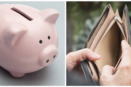 Piggy bank / purse