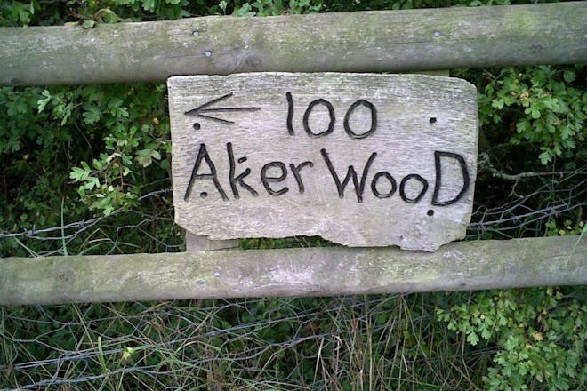 100 Aker Wood, at Aldenham Country Park