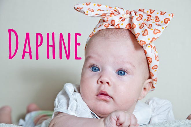 Baby name Daphne