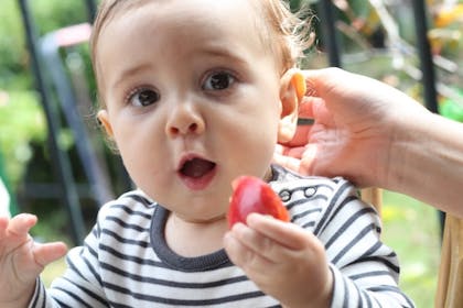 Baby eating fruit