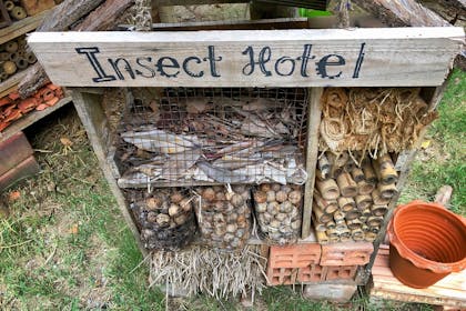 A homemade bug house with a sign saying 'insect hotel'