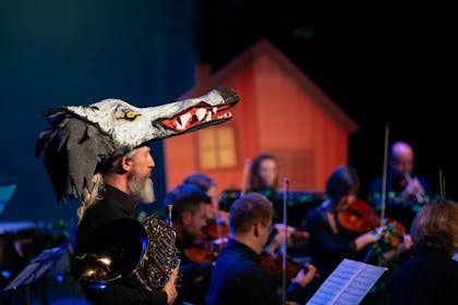 A man in a wolf hat plays the French horn at a Children's Classic Concert