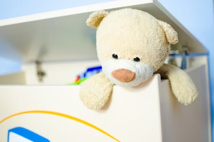 teddy bear in toybox