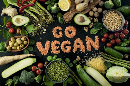 Go vegan written in grains and surrounded by vegetables