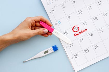 Calendar with ovulation test