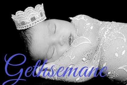 posh baby name Gethsemane