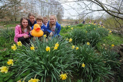Easter Duck Trail, WWT London Wetland Centre