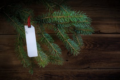 Label hanging on Christmas tree branch