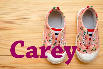 1. Carey