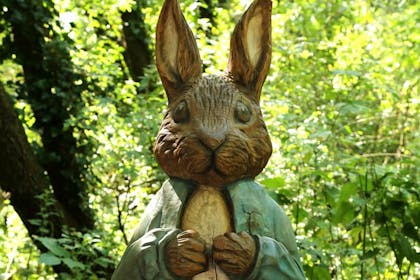 9. Tiptoe along the Peter Rabbit Woodland Trail, Langdon, near Basildon