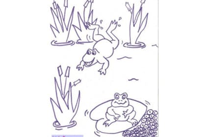 11. Frogs