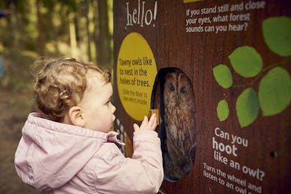 Young girl looking at sign on Gruffalo trail