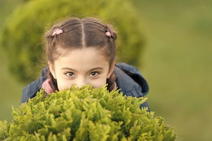 Girl hiding behind bush