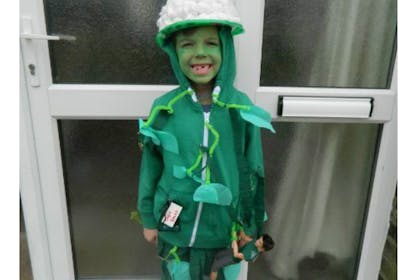 jack and the beanstalk costume