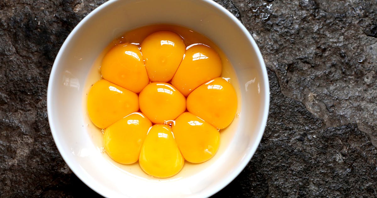 The strongest egg yolk