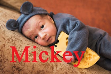 Baby name Mickey
