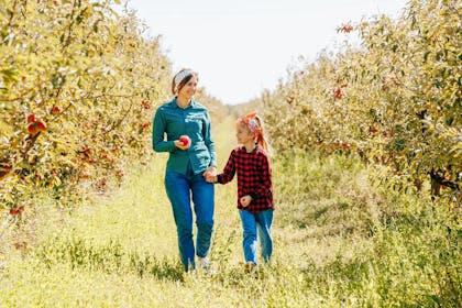 https://images.prismic.io/netmums/75d419ca-82ae-4983-bf96-c3f93bb480f9_Mother+and+daughter+picking+apples+together.jpeg?w=420&h=280&fit=crop&auto=compress%2Cformat&rect=1%2C0%2C999%2C666