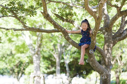 Girl climbing tree