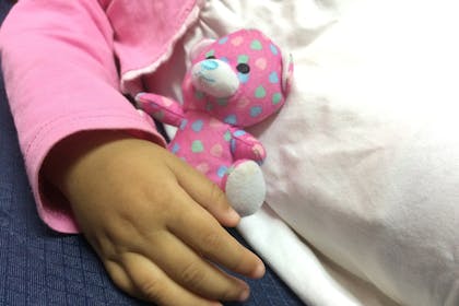 Child's hand holding small teddy