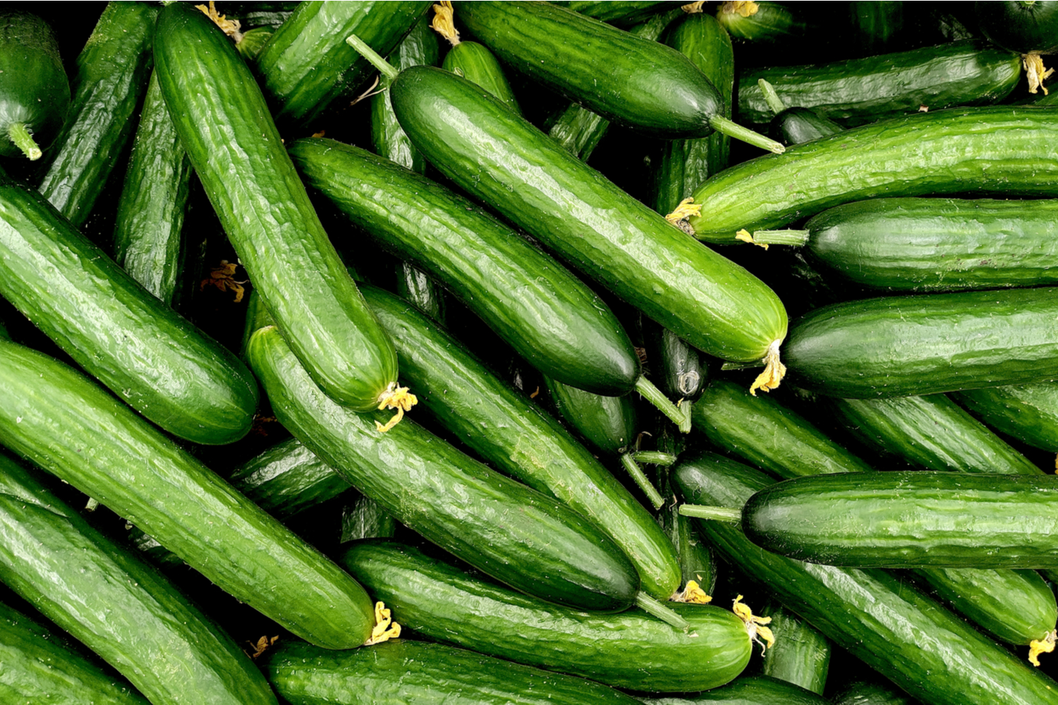 Baby led weaning sales cucumber