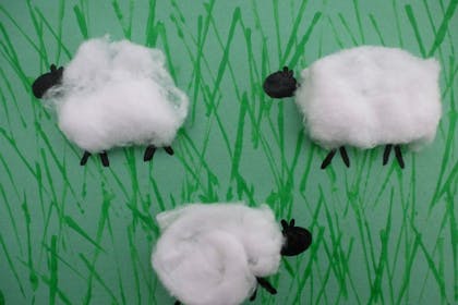Cotton wool sheep