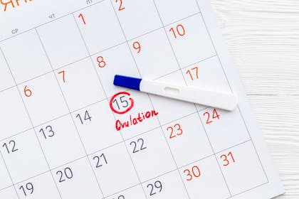 Ovulation test sitting on a calendar with date circled and word ovulation