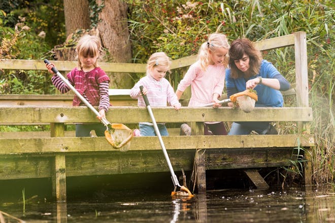 Three young girls happily pond dipping with an adult helper at RSPB Conwy