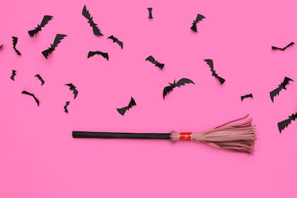 Broomstick and bats on pink background