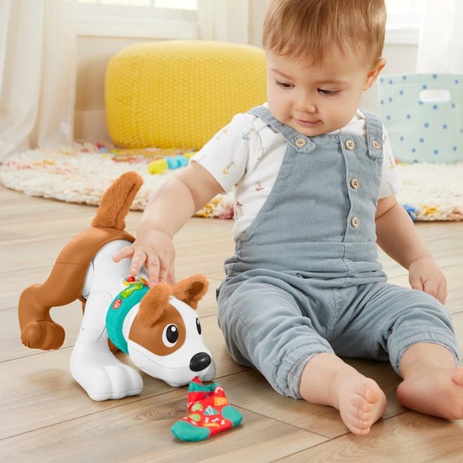 Fisher-Price Crawl with me Puppy