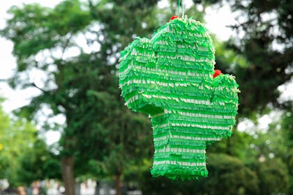 Cactus pinata hanging up in garden