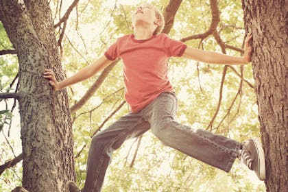 Boy climbing tree on camping trip