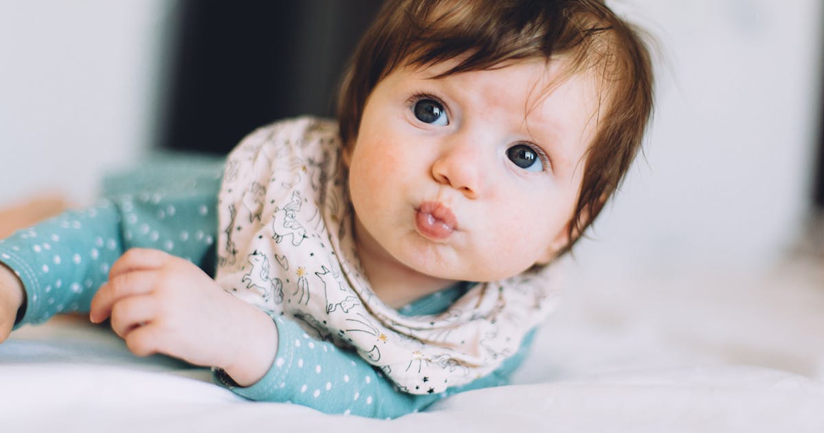 The best new animalthemed toys for babies in 2024 Netmums The best new animalthemed toys for babies in 2024 Netmums