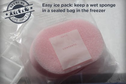 wet sponge in plastic bag