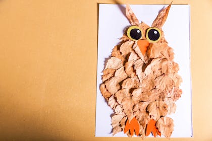 A collage picture of an owl made from autumn leaves