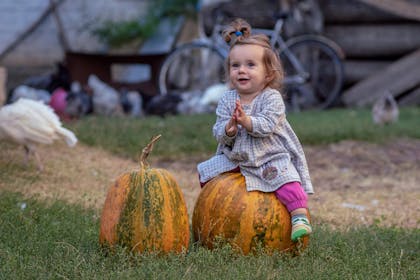 Toddler clapping while sat on Halloween pumpkin