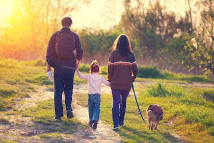 Family go on dog walk