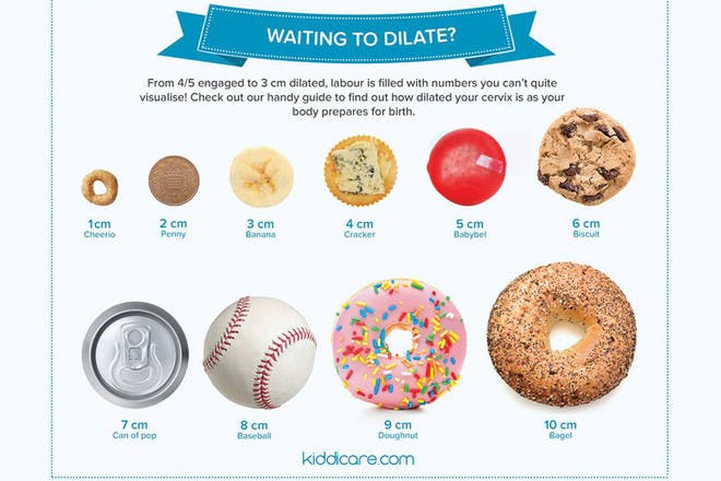 The Brilliant Chart That Helps You Visualise Your Dilated Cervix Netmums the-brilliant-chart-that-helps-you-visualise-your-dilated-cervix-netmums